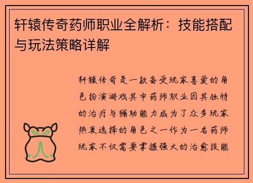 轩辕传奇药师职业全解析：技能搭配与玩法策略详解